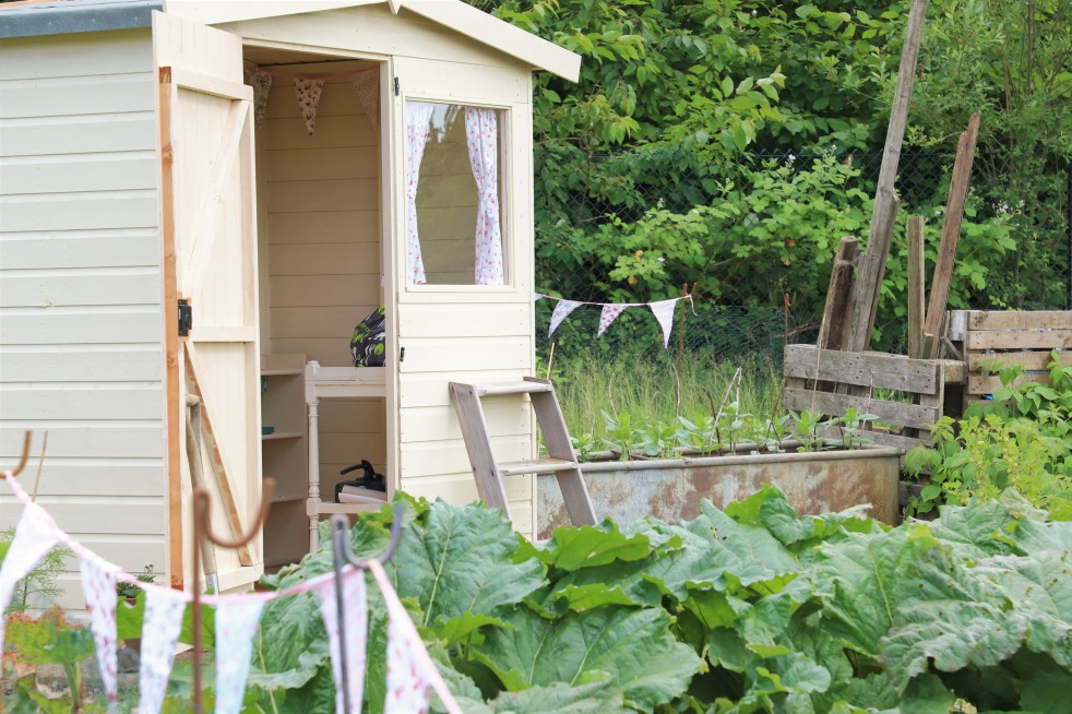 allotment shed, bunting