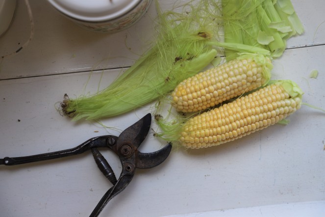 sweet corn